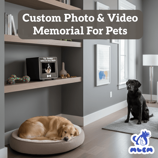 mlemory keeper™ - boop snoot black + purrfect white