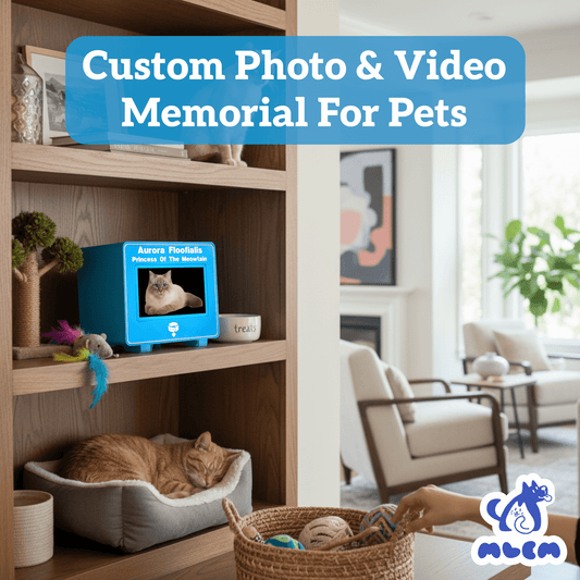 mlemory keeper™ - bleppin blue + purrfect white