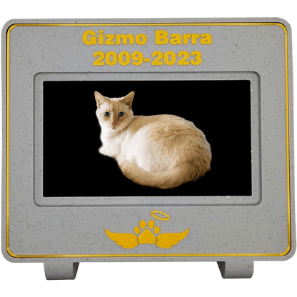 mlemory keeper™ - kitten me cookie + puparazzi gold