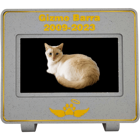 mlemory keeper™ - kitten me cookie + puparazzi gold