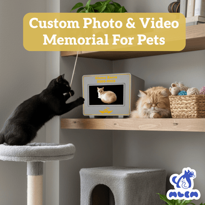 mlemory keeper™ - kitten me cookie + puparazzi gold