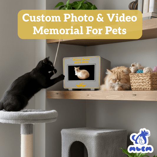 mlemory keeper™ - kitten me cookie + puparazzi gold