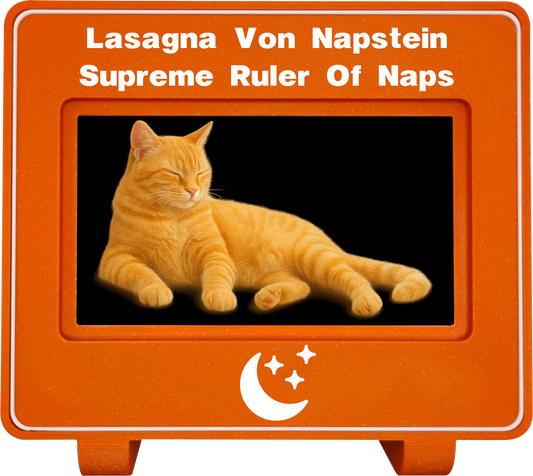 mlemory keeper - monday orange + purrfect white
