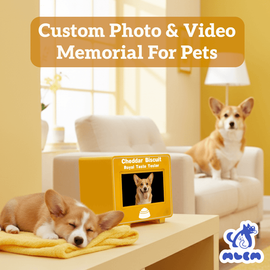 mlemory keeper™ - puparazzi gold + purrfect white