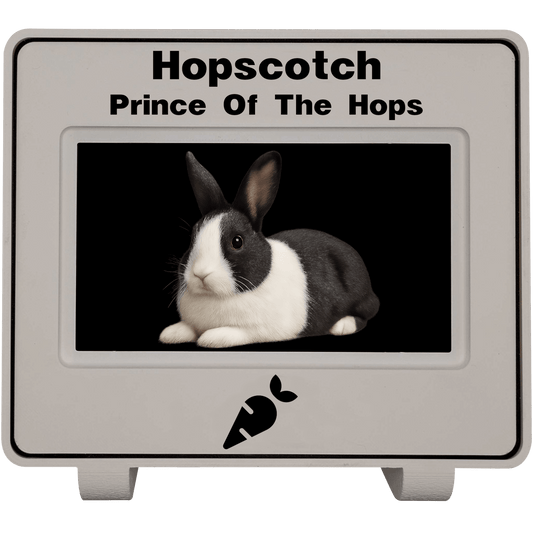 mlemory keeper™ - purrfect white + boop snoot black